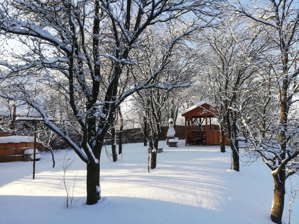 Villa Drevenica Silvia Liptovský Mikuláš Exterior foto